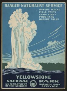 Yellowstone Naitonal Park